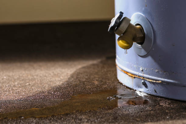 Best Water damage cleanup near me  in Foxfire, NC