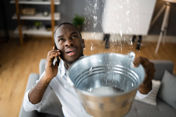 Best Flood damage cleanup  in Foxfire, NC