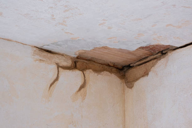 Best Emergency water damage restoration  in Foxfire, NC