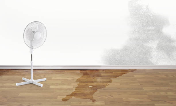 Water damage restoration experts in Foxfire, NC