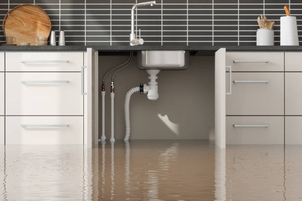 Best Water damage restoration near me  in Foxfire, NC