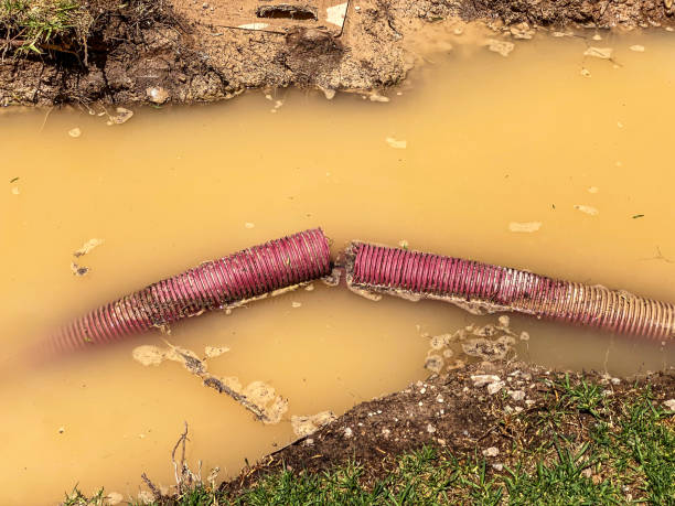 Best Carpet water damage restoration  in Foxfire, NC