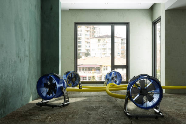 Best Professional water damage repair  in Foxfire, NC